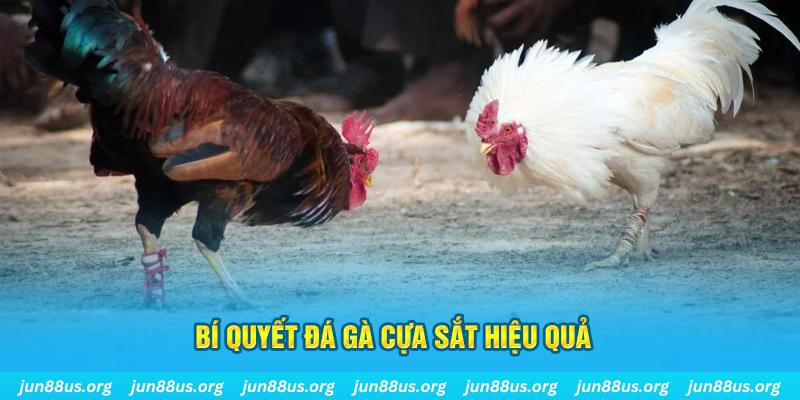 ku bet xổ số miền bắc thứ ba hàng tuần