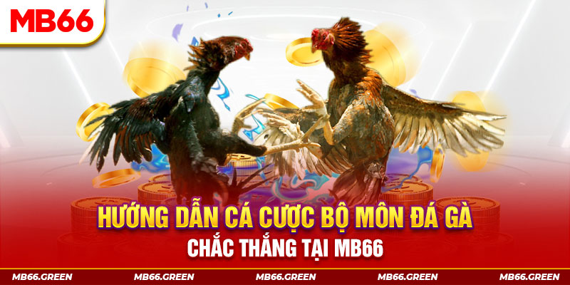 ku bet xổ số miền nam hôm nay