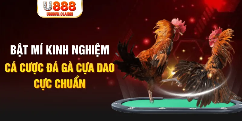 ku bet casino hồ tràm có cho người việt vào không