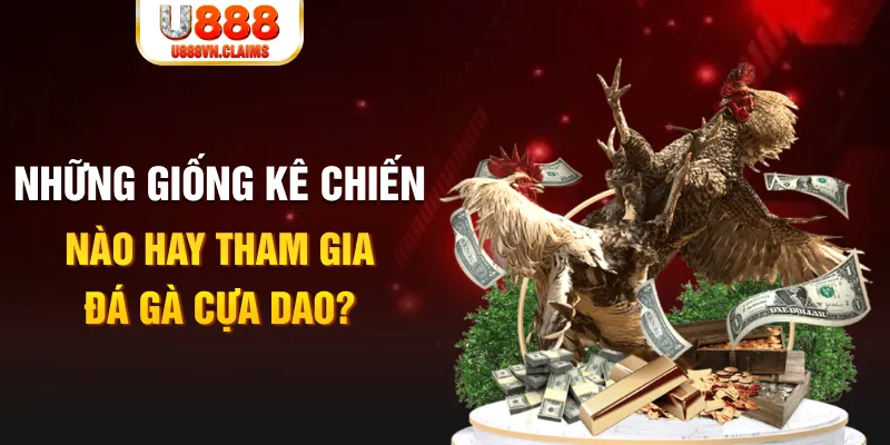ku bet BG Trực Tuyến