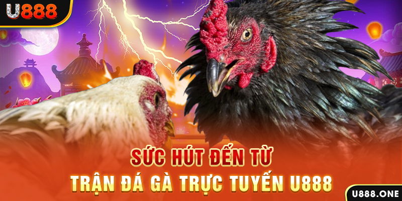ku bet đăng nhập poker 2024