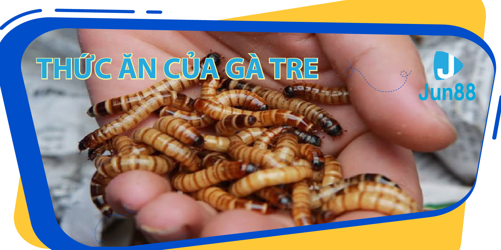 ku bet da ga 67