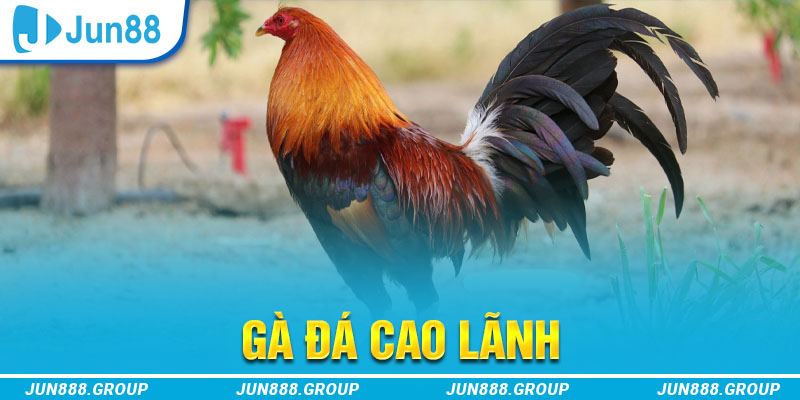 ku bet tai game vua bai ve may tinh