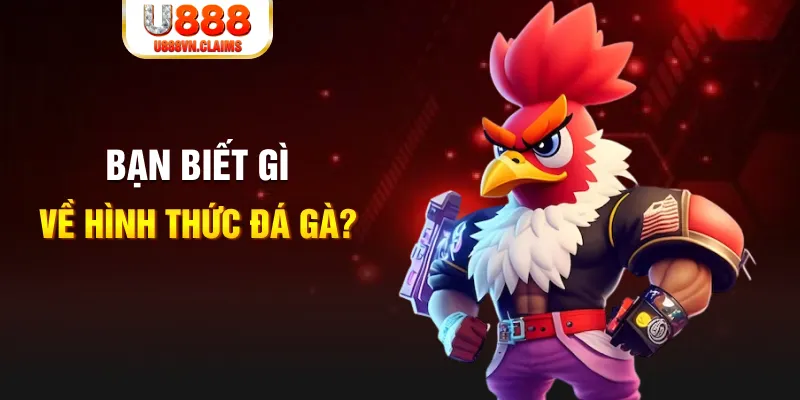 ku bet đăng nhập liêng tặng tiền