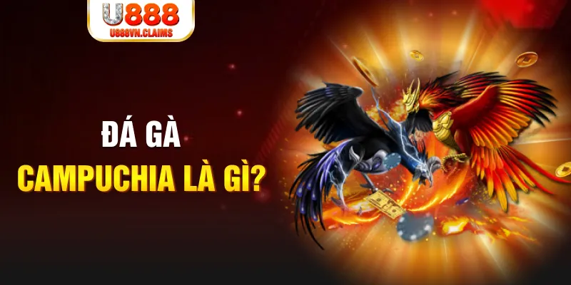 ku bet what is the best online casino for real money