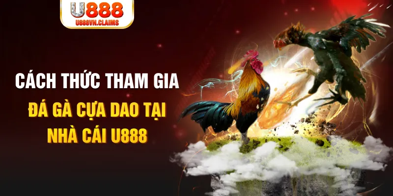 ku bet đá gà 88.com