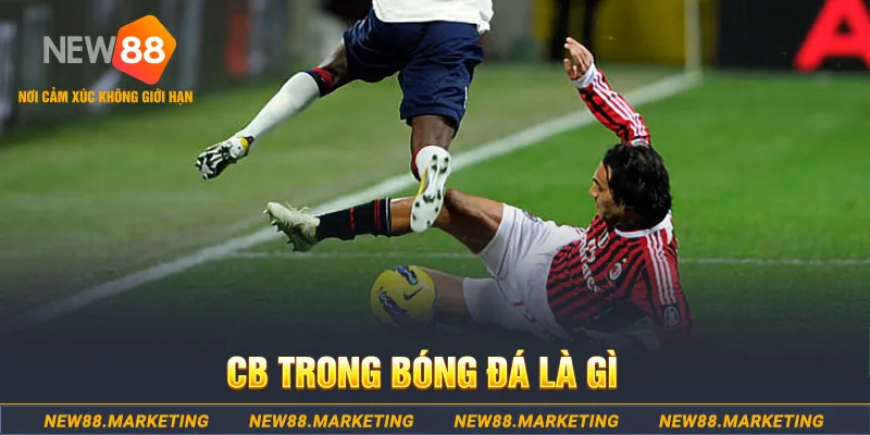 ku bet DG Trực Tuyến