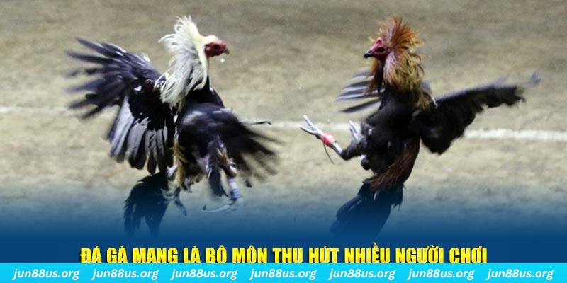 ku bet đăng nhập sòng bạc số 1
