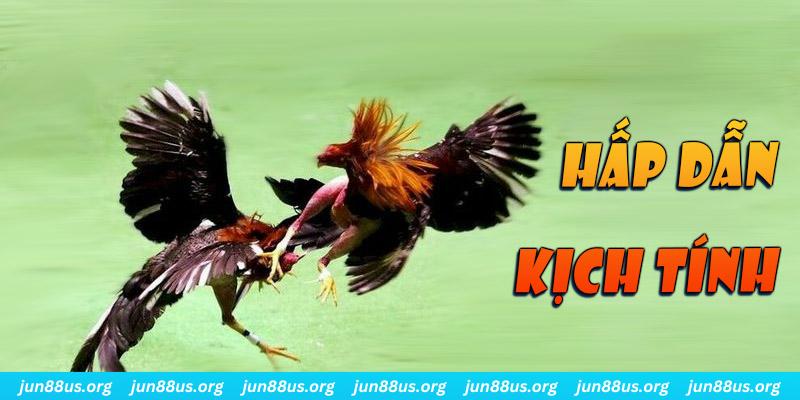 ku bet xổ số miền nam thứ sáu