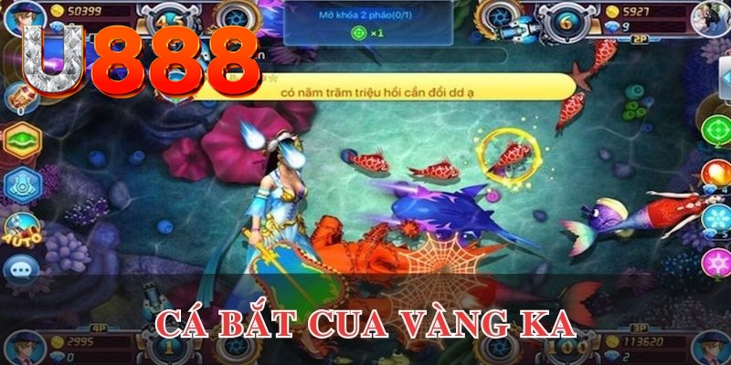 ku bet xo so mien nam