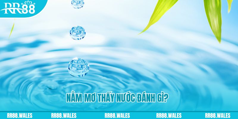 ku bet xổ số trực tiếp miền bắc