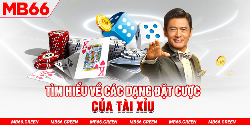 ku bet what is a casino loyalty program