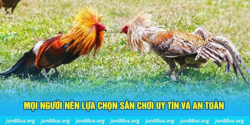 ku bet đăng nhập poker 2025