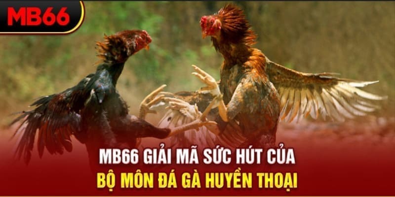 ku bet xổ số đài bắc