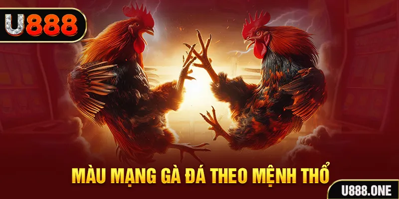 ku bet đăng nhập liêng hàng đầu