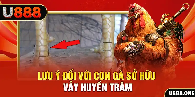 ku bet tải game đánh bài tiến lên miền nam về máy tính