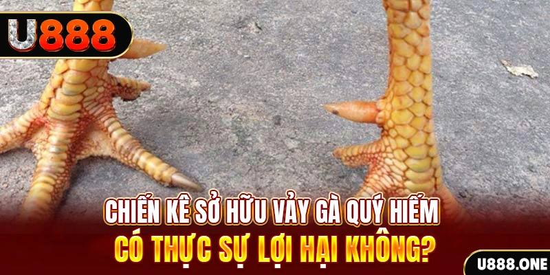 ku bet xổ số miền trung