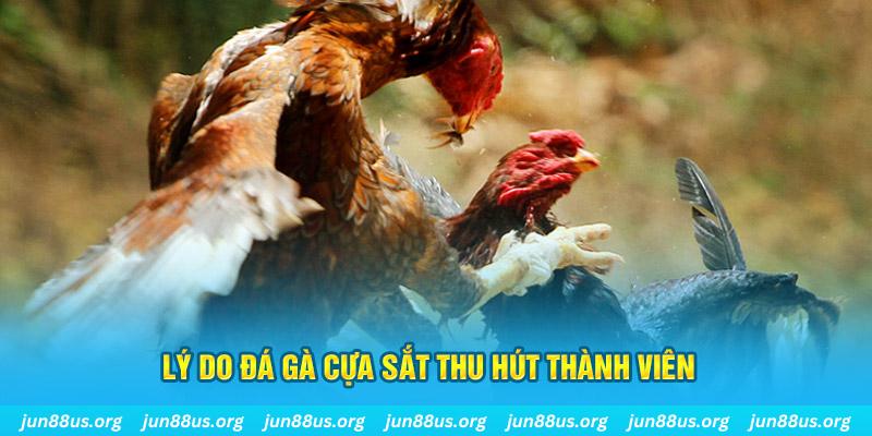 ku bet nổ hũ ăn bao nhiêu