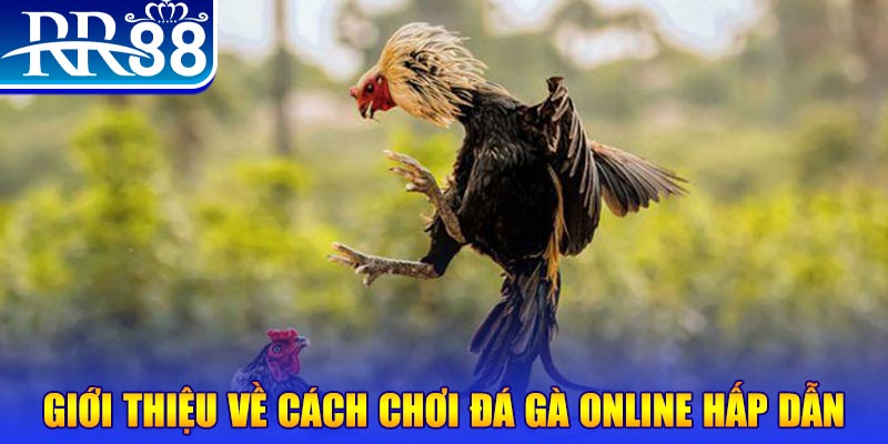 ku bet EvoPlay Điện Tử