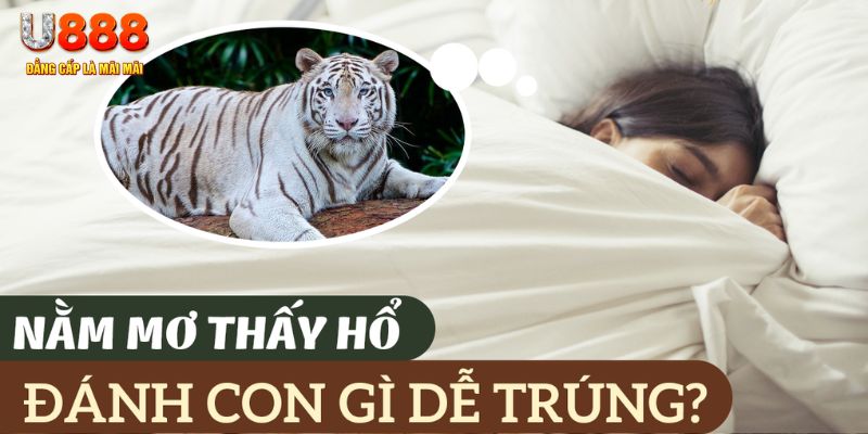 ku bet nohu .mx nổ hủ là gì