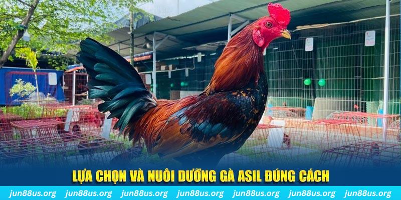 ku bet nổ hũ thần tài là gì