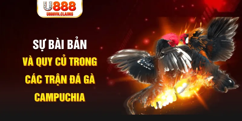 ku bet game xếp bài trên máy tính