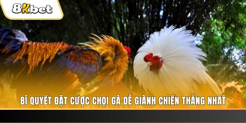 ku bet nổ hũ chơi như thế nào