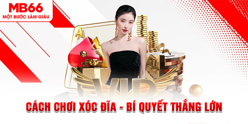 ku bet Đĩa màu ace
