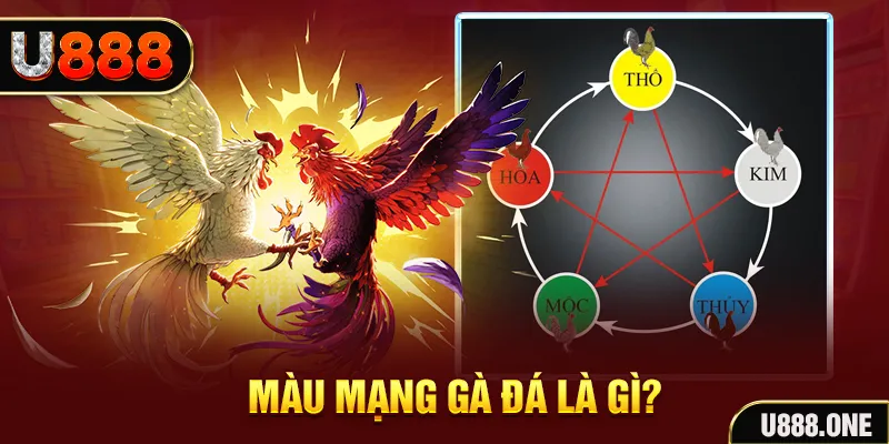 ku bet V8 Game Bài 3d