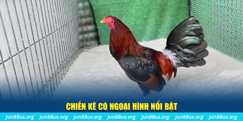 ku bet qq88 bắn cá