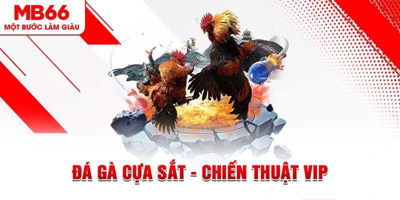 ku bet slot out là gì