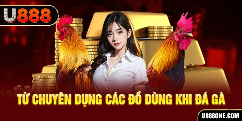 ku bet đăng nhập poker trực tiếp