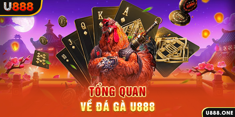 ku bet xổ số vietlott