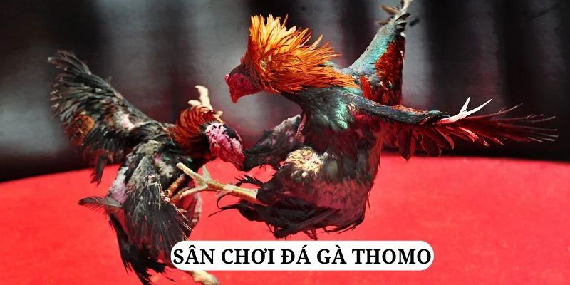 ku bet quay nổ hũ là gì