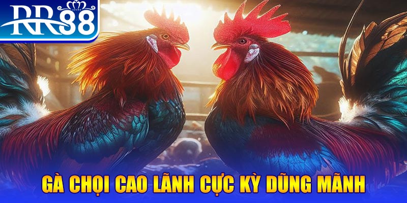 ku bet đăng nhập poker live
